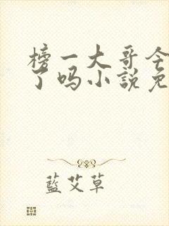 榜一大哥今天爱了吗小说免费阅读