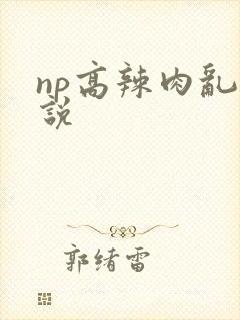 np高辣肉乱小说