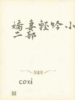 娇妻轻吟小说第二部