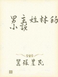 男主姓林的玄幻小说封面