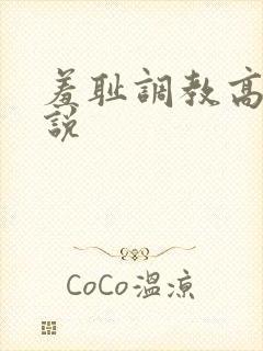 羞耻调教高h小说