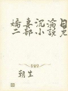 娇妻沉沦日记第二部小说免费阅读