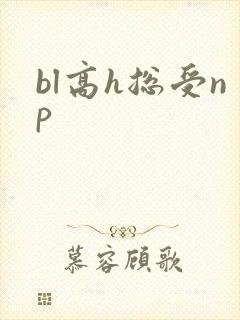 bl高h总受np