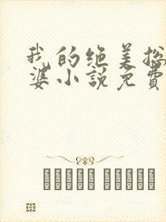 我的绝美总裁老婆小说免费阅读全文