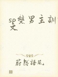 sp双男主训诫文