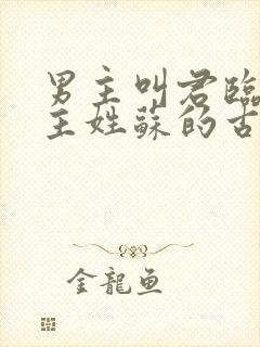 男主叫君临渊女主姓苏的古言小说