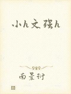小h文强h