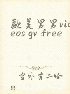 欧美男男videos gv free