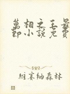 万相之王最新章节小说免费阅读