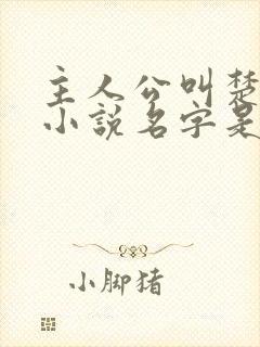 主人公叫楚枫的小说名字是什么