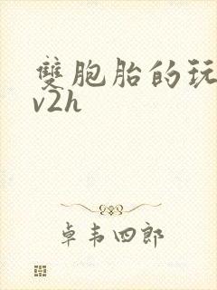 双胞胎的玩具1v2h