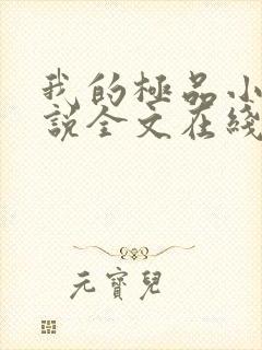 我的极品小姨小说全文在线阅读