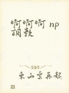 啊啊啊 np 调教