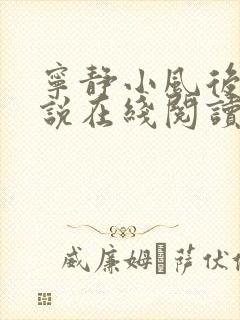 宁静小风后妈小说在线阅读无弹窗