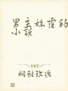 男主姓霍的总裁小说封面