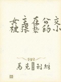 女主在公交车上被猥亵的小说