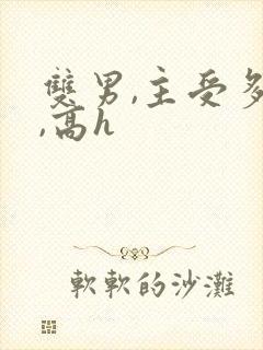 双男,主受多攻,高h