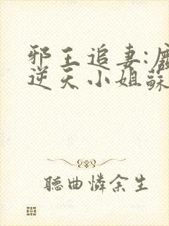 邪王追妻:废材逆天小姐苏落南宫流云