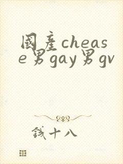 国产chease男gay男gv