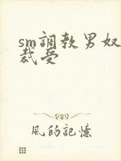 sm调教男奴总裁受