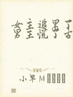 女主追累了放弃男主慌了古言