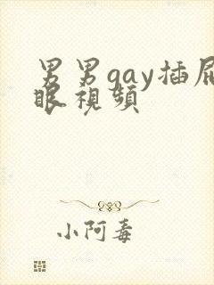 男男gay插屁眼视频