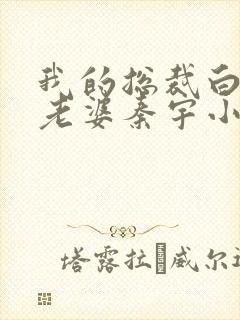 我的总裁白富美老婆秦宇小说最新章节在线