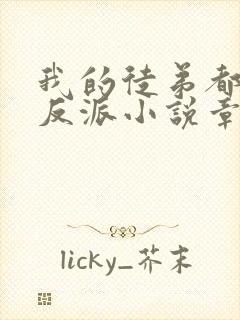 我的徒弟都是大反派小说章节目录封面