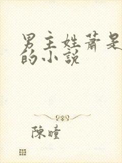 男主姓萧是世子的小说