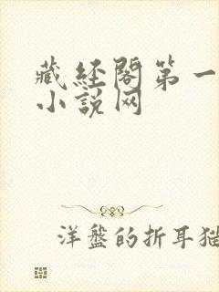 藏经阁第一版主小说网