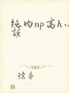 纯肉np高h小说