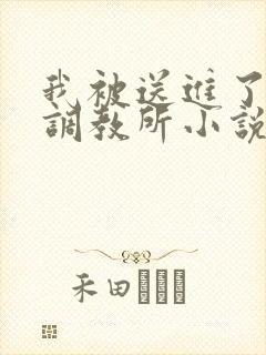 我被送进了私奴调教所小说