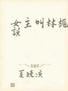 女主叫林栀的小说