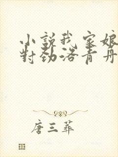 小说我家娘子不对劲洛青舟免费全集