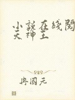 小说在线阅读霸天神王封面