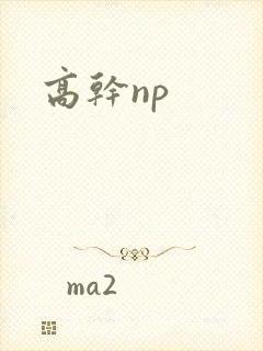 高干np