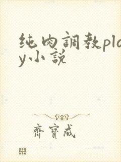 纯肉调教play小说