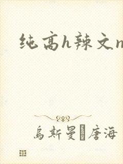 纯高h辣文np