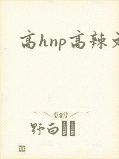 高hnp高辣文