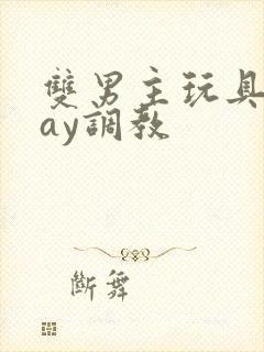 双男主玩具play调教