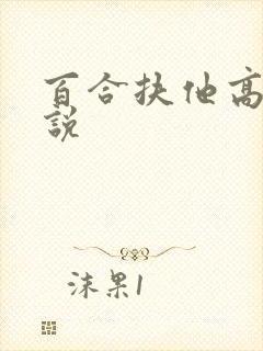 百合扶他高h小说封面