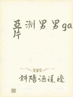 亚洲男男gay片封面