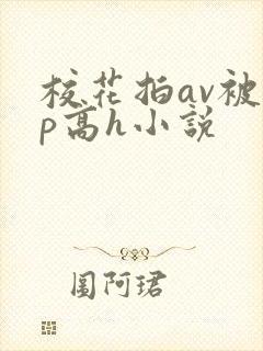 校花拍av被np高h小说