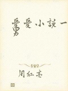 爱爱小说一女多男