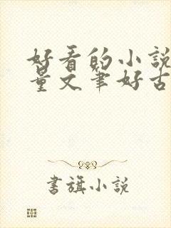 好看的小说高质量文笔好古言封面