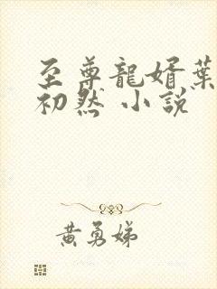 至尊龙婿叶辰萧初然 小说