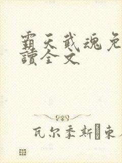 霸天武魂免费阅读全文