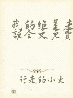 我的绝美老婆小说全文免费阅读