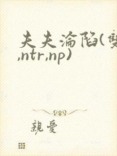 夫夫沦陷(双性,ntr,np)