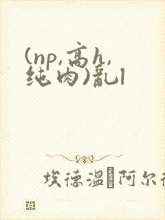 (np,高h,纯肉)乱l